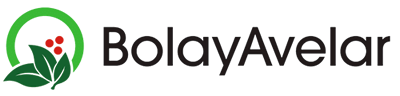 Bolay Avelar